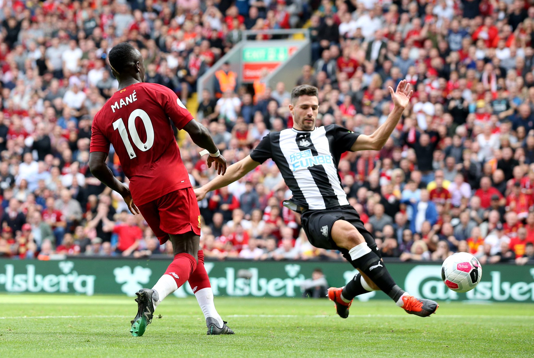 在他们职业 在他们职业