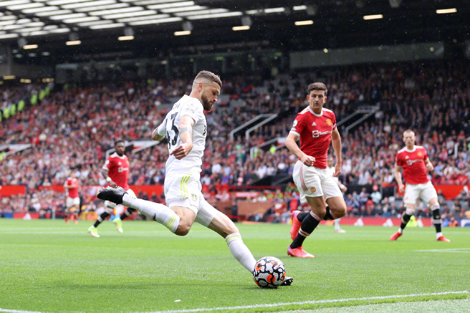 绿色低碳 绿色低碳